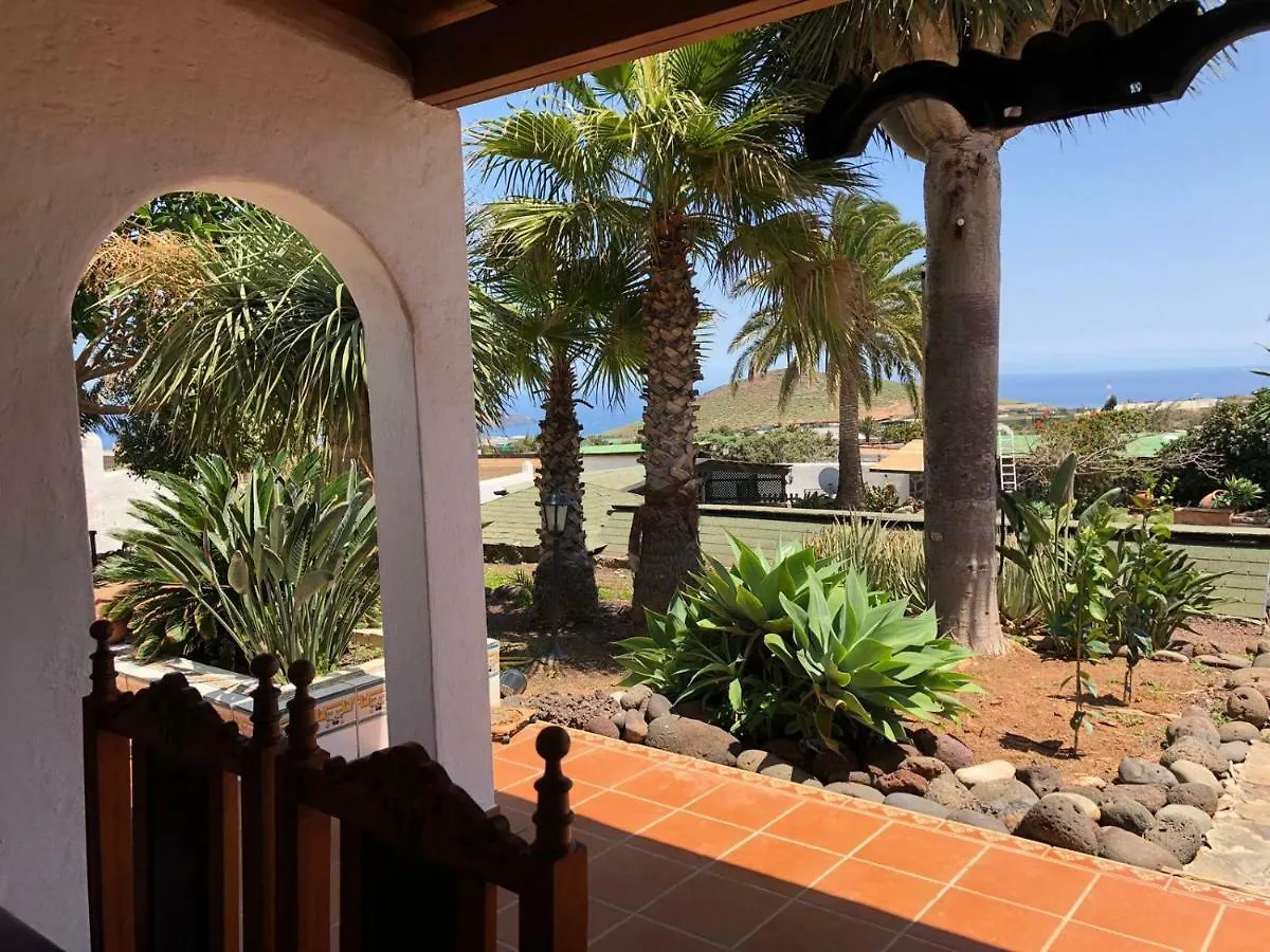 Palmeras Ingenio Spain