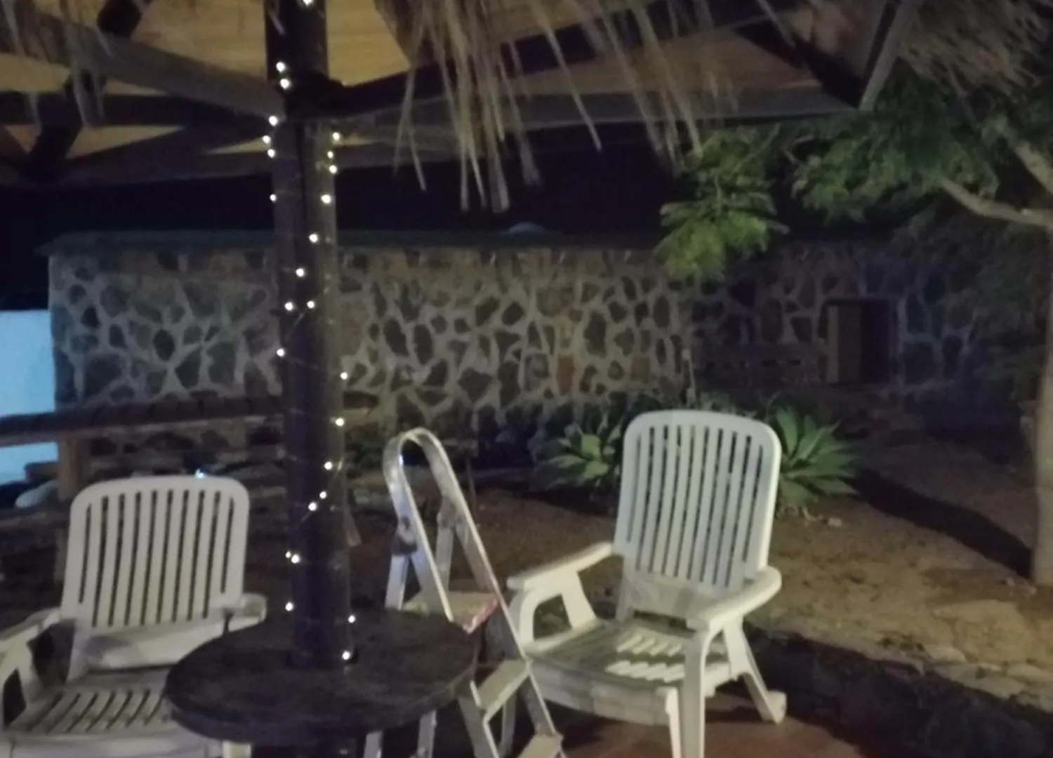 Palmeras Инхенио Испания